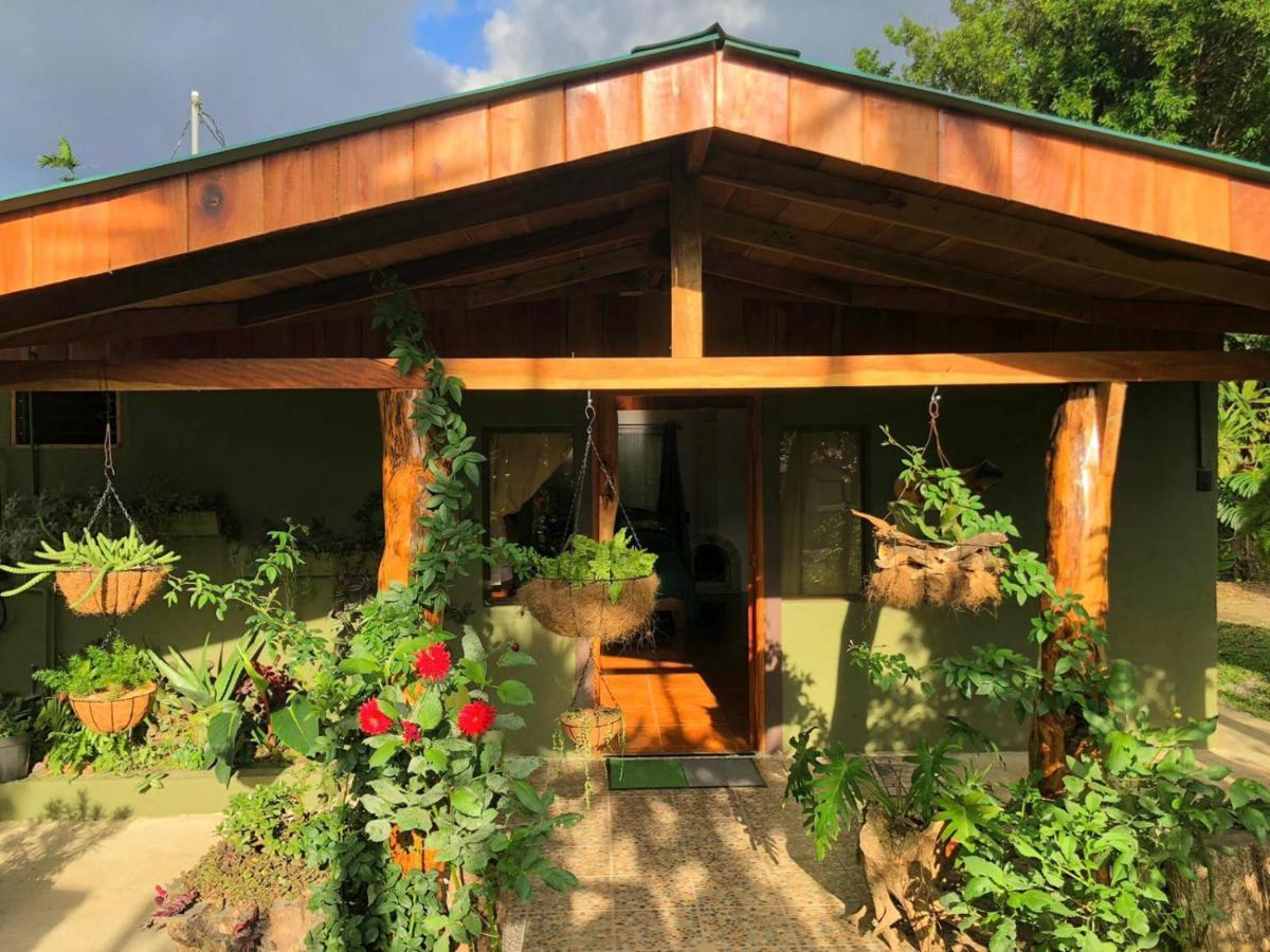 Casa Haydee モンテベルデ エクステリア 写真