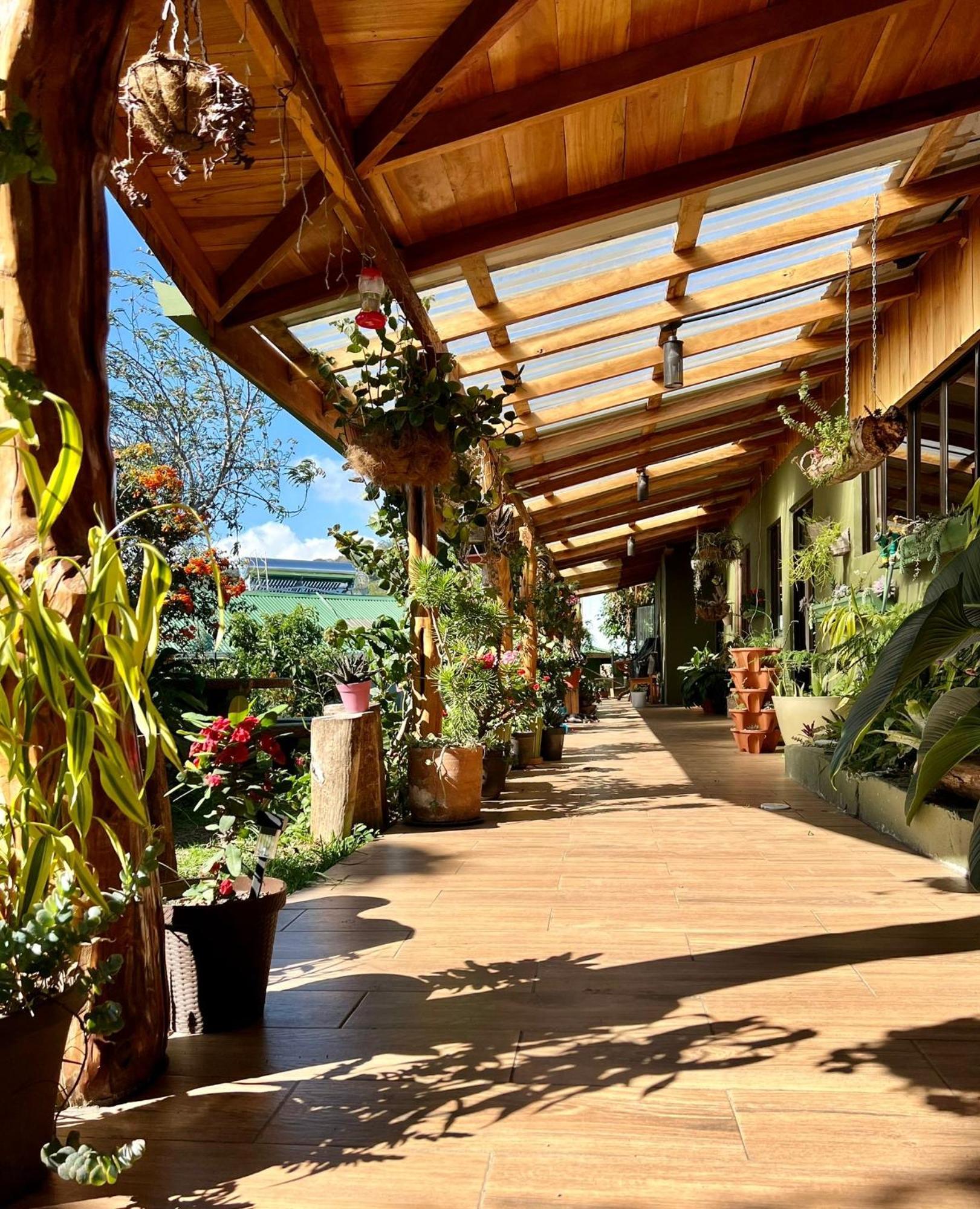 Casa Haydee モンテベルデ エクステリア 写真